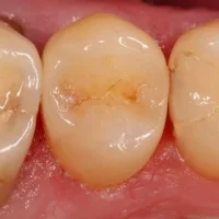 стоматологическая клиника виоланта+юдв изображение 3
